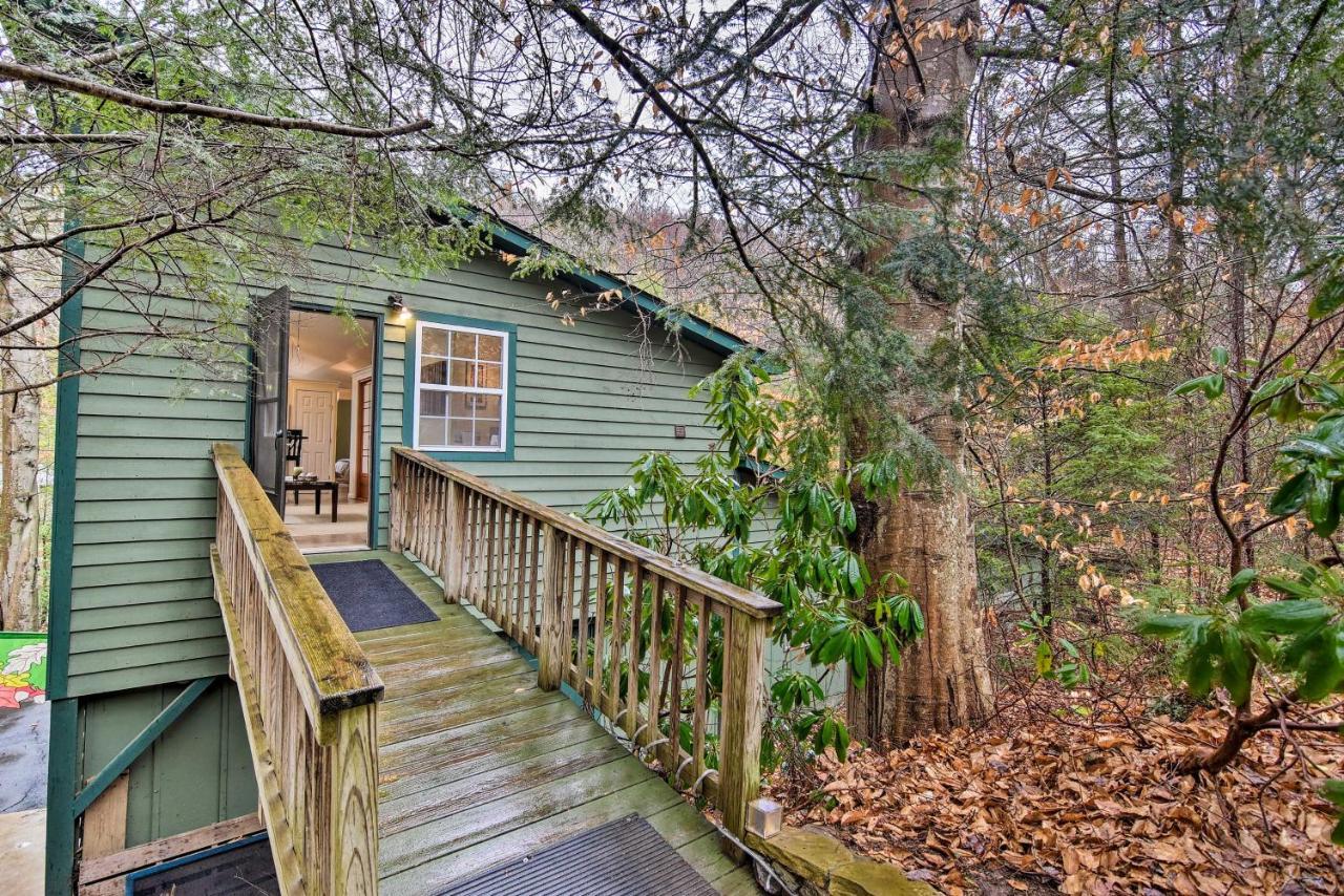 Appalachian Mountain Retreat 6 Mi To Asheville! Екстериор снимка